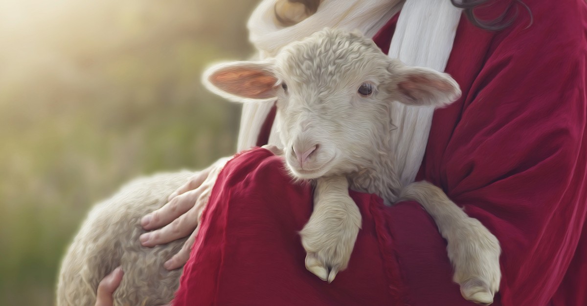 Shepherd with sheep in their arms