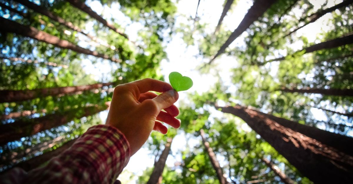 Man holding a heart up to a tree; who are we?